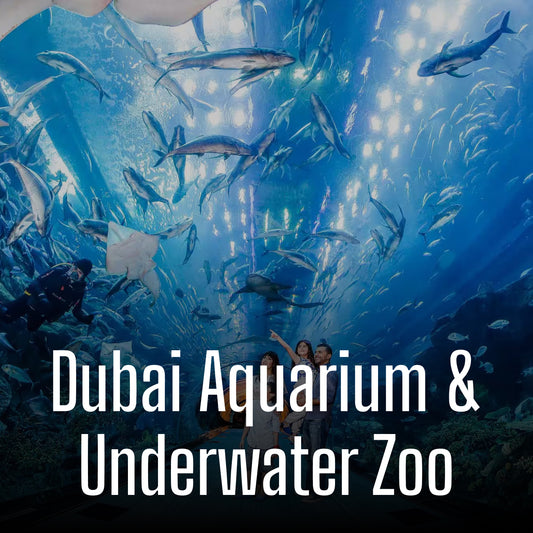 Dubai Aquarium & Underwater Zoo
