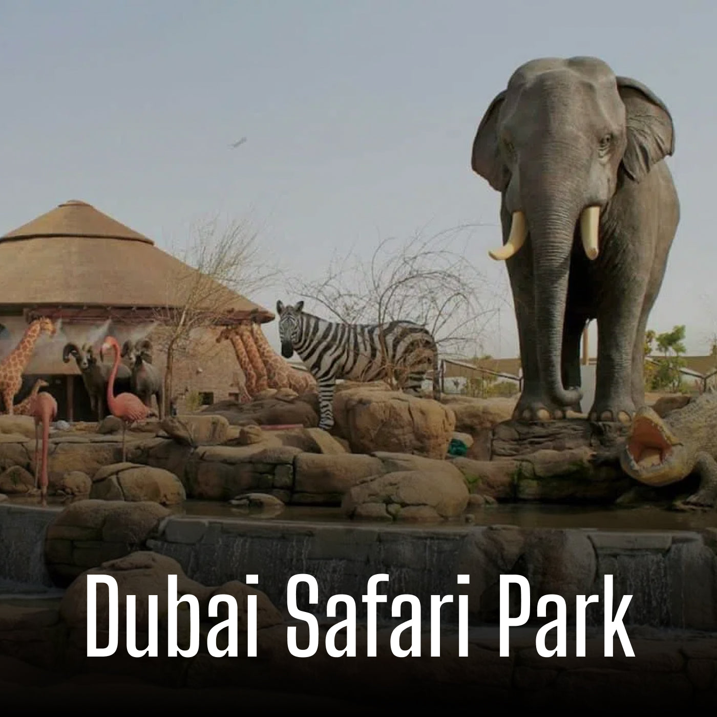 Dubai Safari Park
