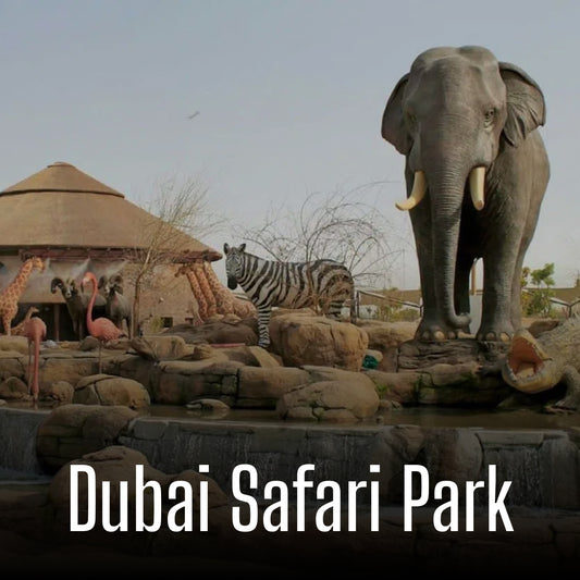 Dubai Safari Park
